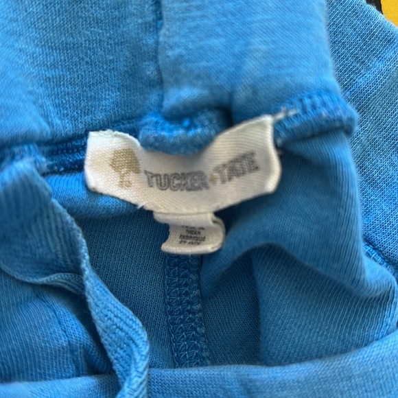 Shorts and t shirt  boys Tucker and Tate toddler outfit from Nordstrom size 2T - Picture 6 of 6